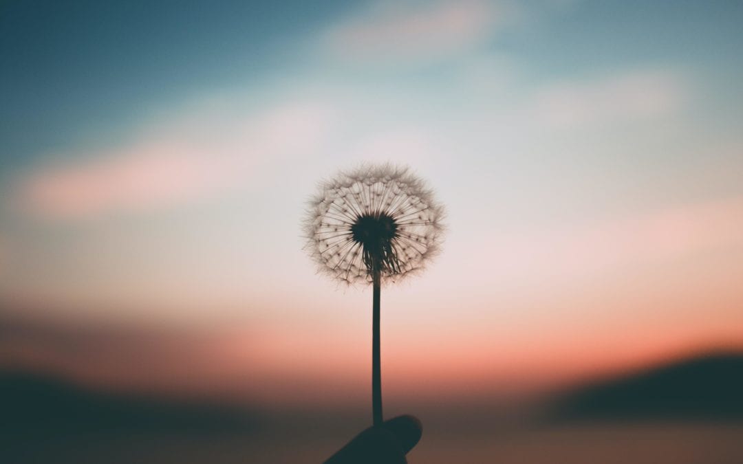 Mental Health and Resilience for Entrepreneurs – Let’s connect