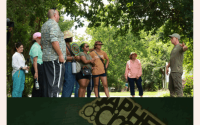 Art can make a difference: Reflections from Seven Months of Climate Resilience in Houston’s Third and Fifth Wards